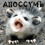 Аватары на заказ