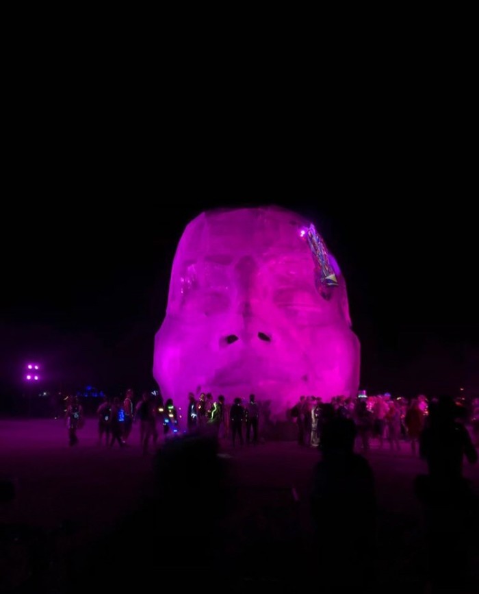 Экстравагантные посетители фестиваля "Burning Man 2019"