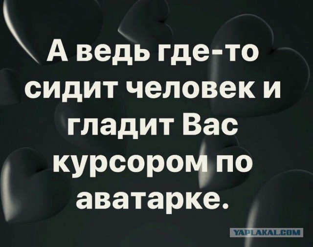 Картинки с надписями, истории и анекдоты 30.11.19