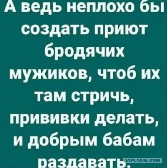 Бредзона 19.02.2020