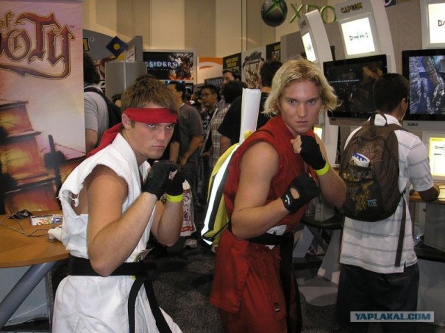 Косплееры с Comic Con 2008 (22 фото)