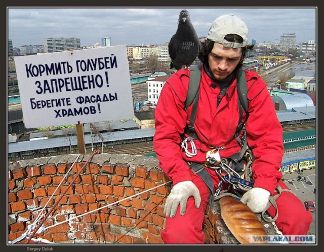 Фотожаба: Грустный альпинист