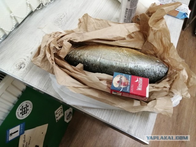 Женщина должна полностью обеспечивать мужчину, тогда на ней можно жениться.
