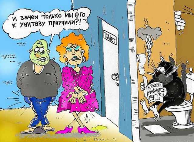 С котопятницей! Улыбнемся?