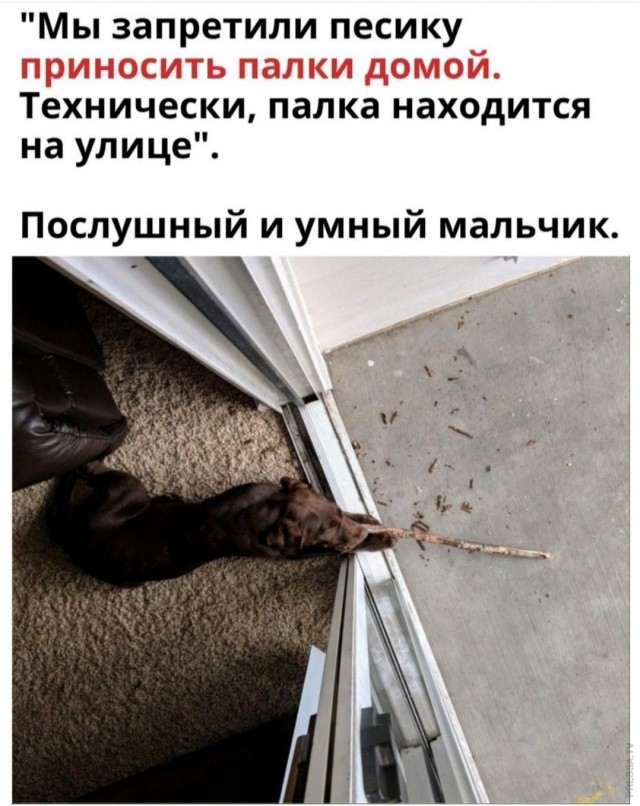 Картинки и мемы для настроения 005