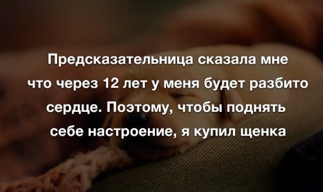 Картинки с надписями. 10.01.21