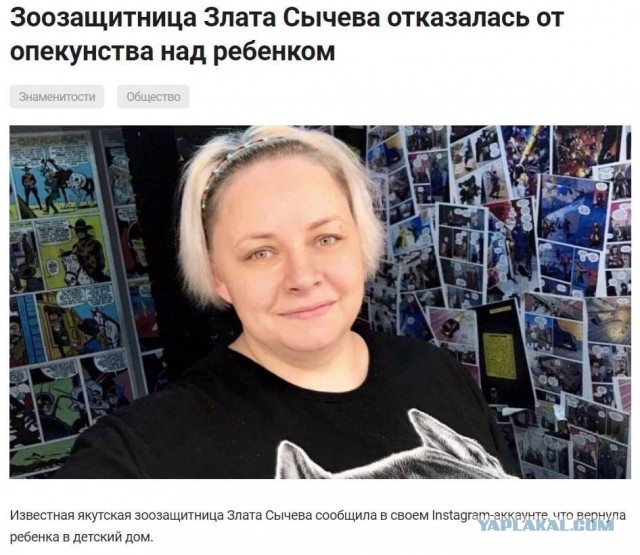 Почему в Якутске годами не могут решить проблему с бездомными собаками?