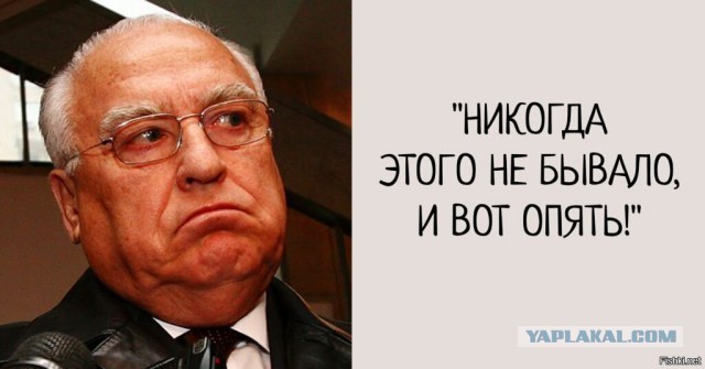 Из Фонтанки в Петербурге достали половину мужского туловища с ногами