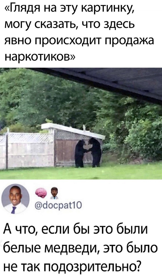 Весёлый полтишок 26.09