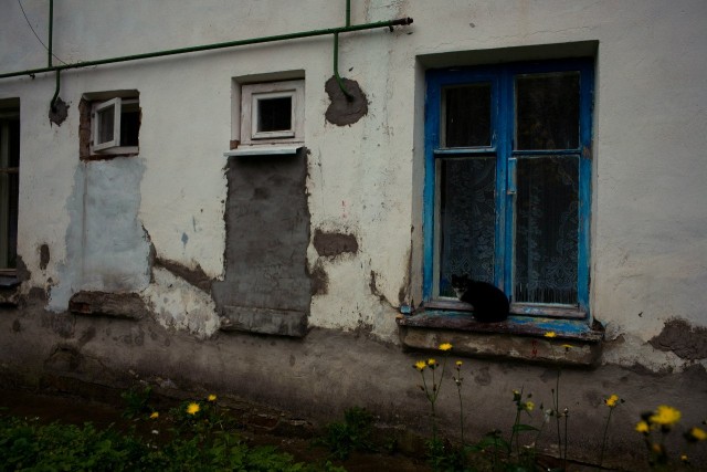 Котовторник 28.09.21