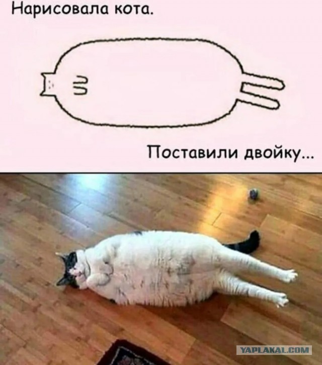 Учительница из Тюмени добавила в контрольную по физике задачу «нарисовать котика, ёжика или динозавра», чтобы снять стресс у учеников