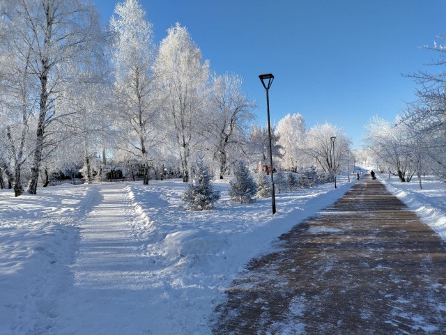 Первое января глазами непьющего человека