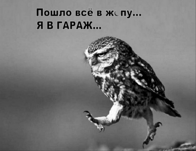 40 картинок разных 22.03.2022