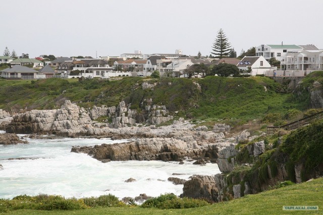 ЮАР, Замбия, Ботсвана