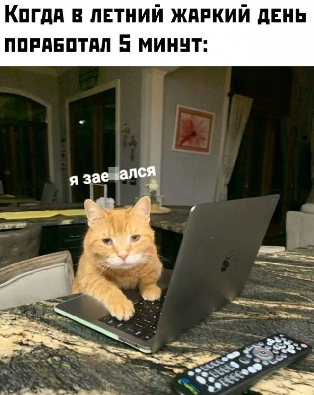 Картинки и мемы для настроения - 29