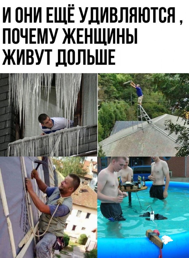 Так себе картинки 22.07.22