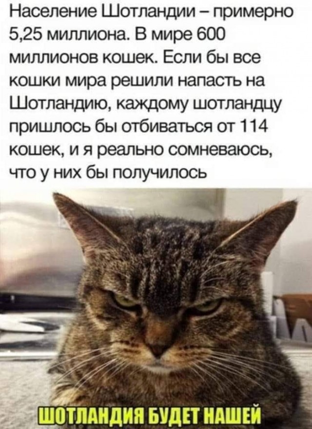 Картинки и мемы. Выходные близко, близко...