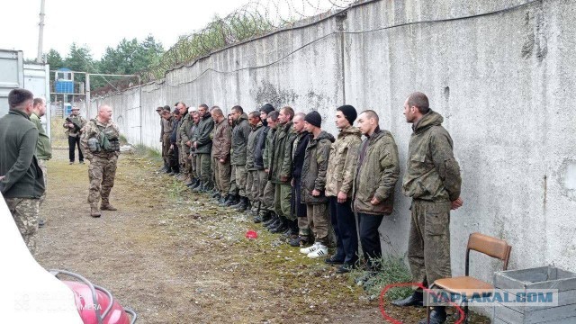Госдума сразу приняла во 2-м и 3-м чтениях законопроект, который вводит понятия «мобилизация» и «военное положение»