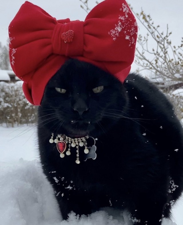 "...имя Ибрагим вам о чём-нибудь говорит?"