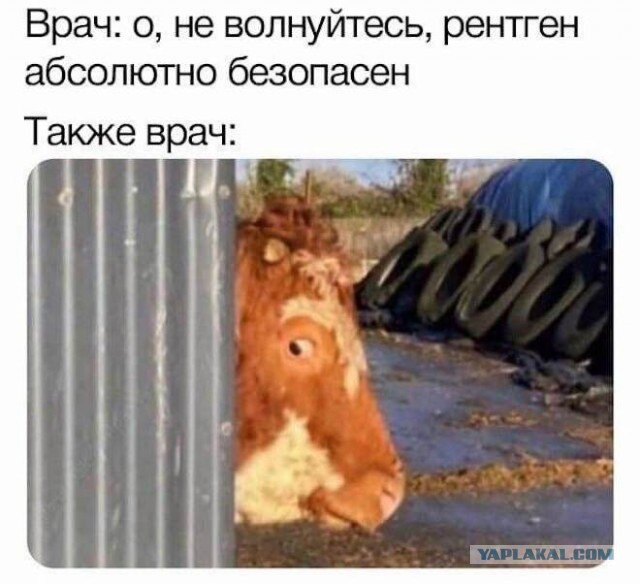 Юмор в картинках и без 04.10.2022