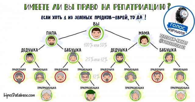 Собчак оказывается еврейка.