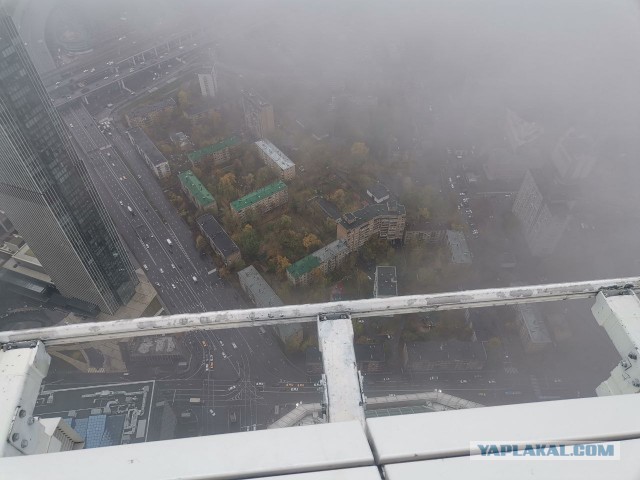 А Кто вы по профессии?