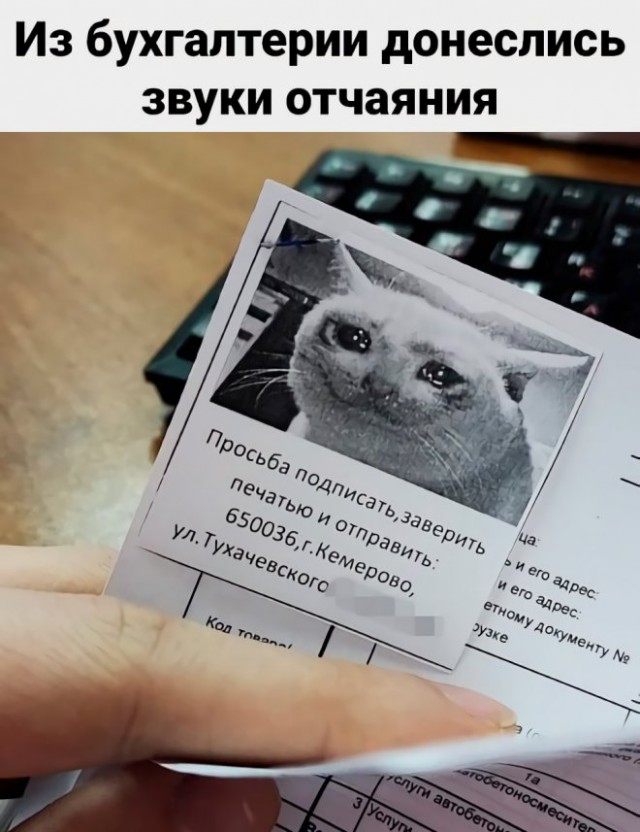 Картинки и мемы для настроения - 119