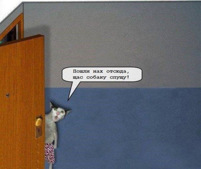 К недавней годовщине