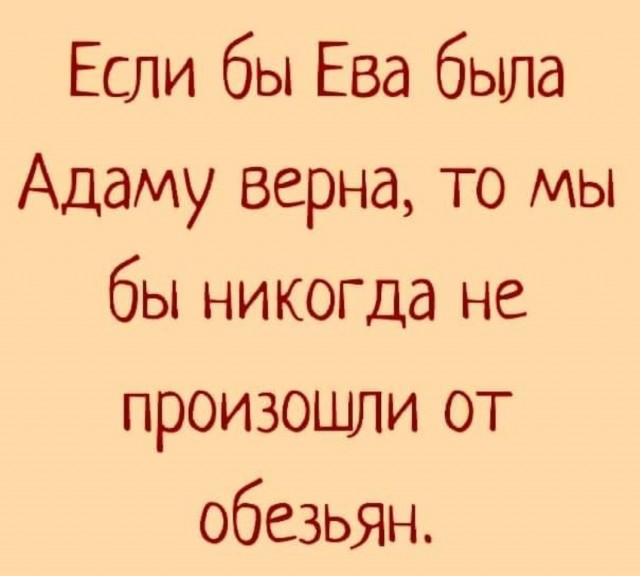 Японский зоопарк провел расследование, чтобы выяснить, как родила обезьяна, которая никогда не видела самцов