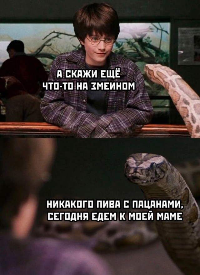 Картинки и мемы, всем хороших выходных