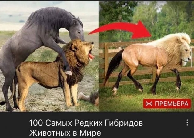 Всего понемногу. Пятничный выпуск