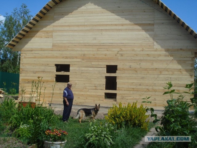 Что нам стоит дом построить!