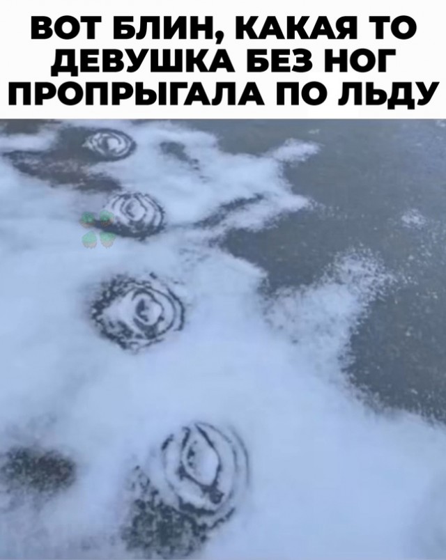 Весёлый полтишок 23.07.23