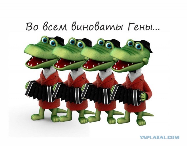 Ни дня без бутылки и смерть в нищете: страшная история советской чемпионки