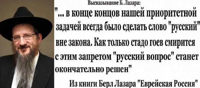 Банду боевых шмелей разыскивает полиция Белгорода.