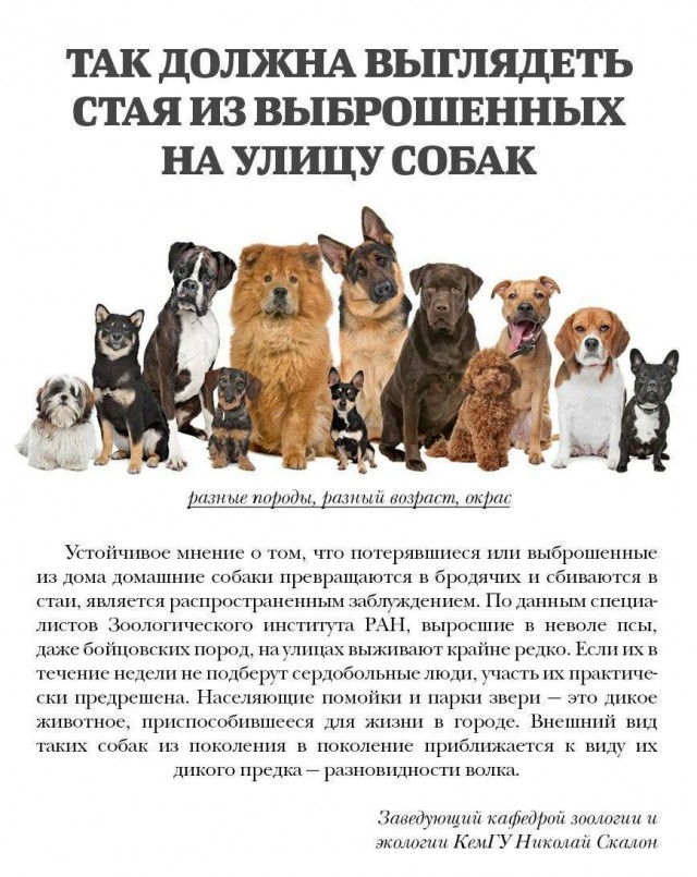 Оренбуржцы принимайте поздравления