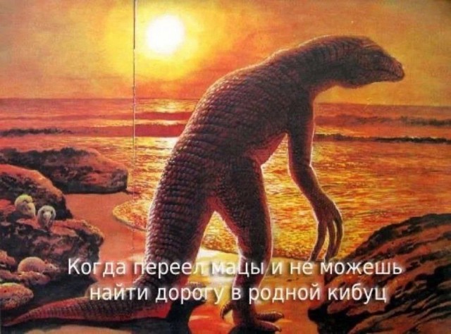 Нуштош 08.05.2024