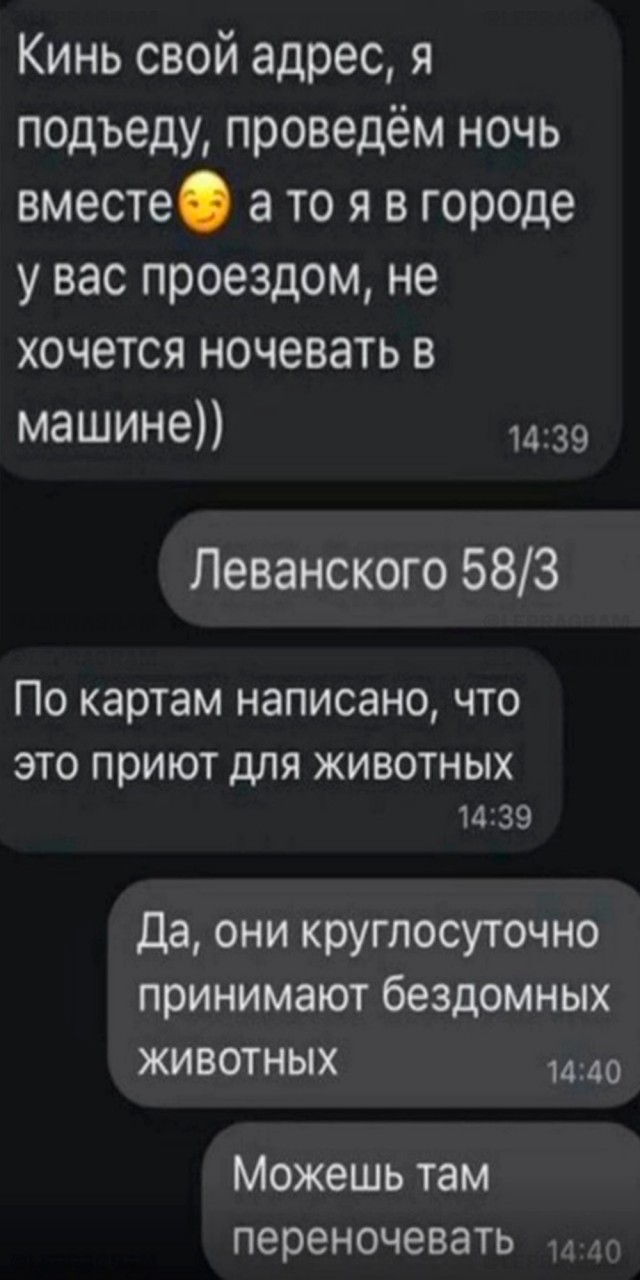 Картинки от Scodero