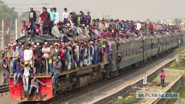 Обычная посадка на поезд в Индии.