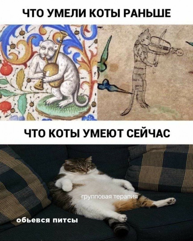 Нуштош 19.09.2024