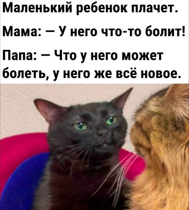 Завалялось тут случайно немного забавных картинок
