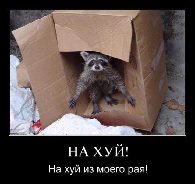 Камеру убери