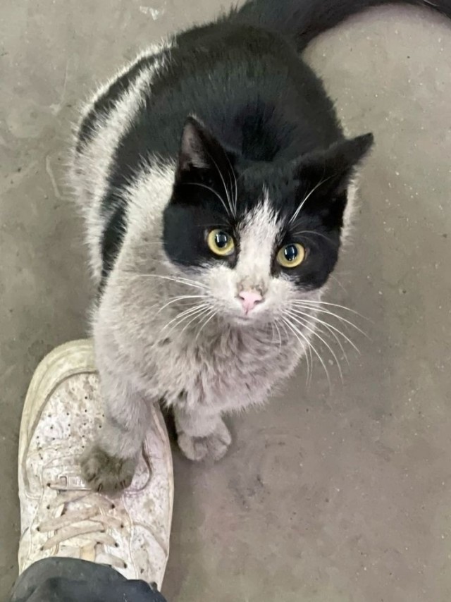 "Давай, показывай квартиренцию!"