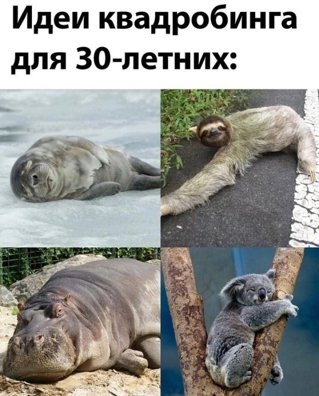 Завалялось тут случайно немного забавных картинок