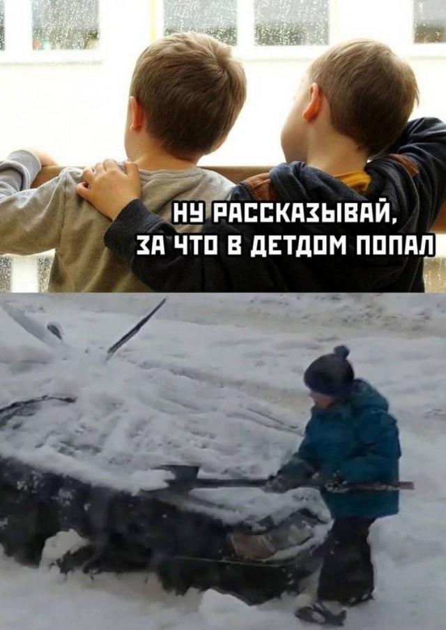 Немного забавных картинок от 22.12.24
