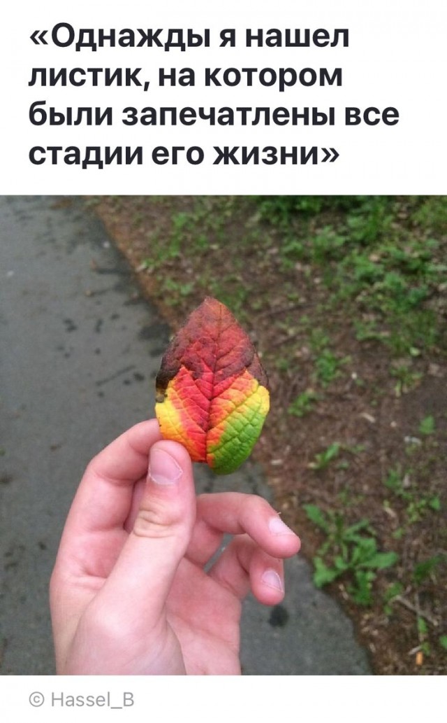 Прикольные и просто красивые картинки 24.01.2025