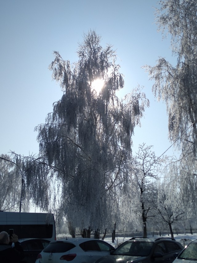 Красивое фото из телефона