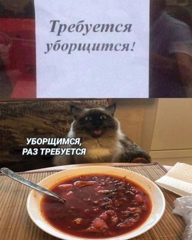 ЯПовский ЛикБез