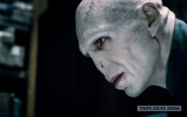 Знаменитые очки