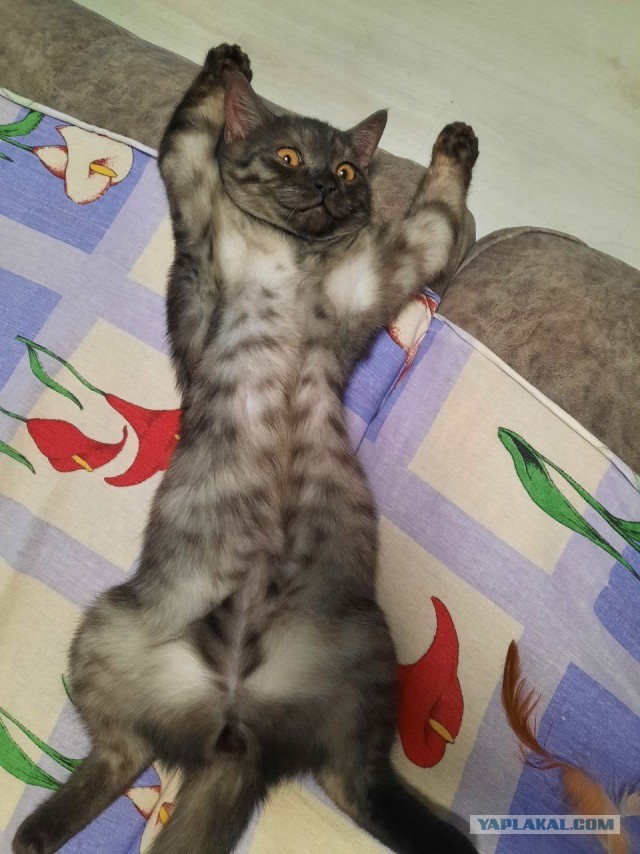 Раб дважды